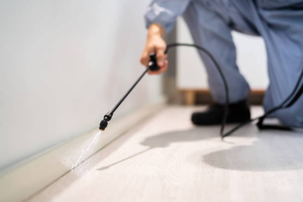 Licensed Termite Control service in White Castle, LA - Nex Pest Control
