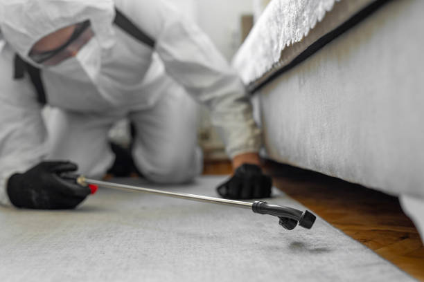 Professional Termite Control technician working in White Castle, LA