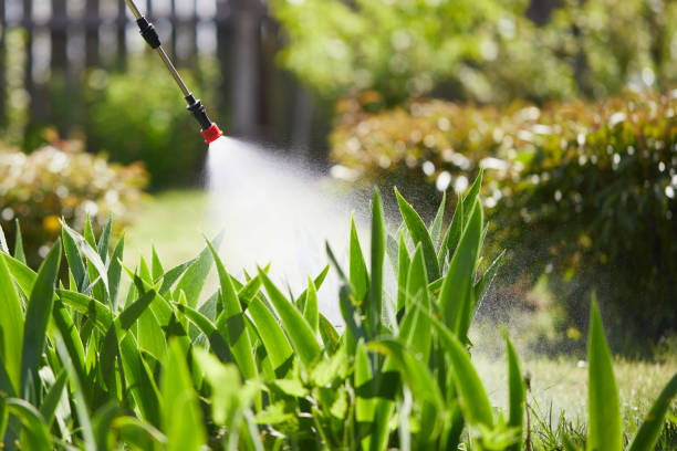 24/7 Emergency Termite Control experts in White Castle, LA