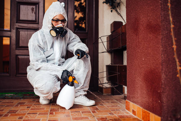 Reliable Termite Control contractor in White Castle, LA by Nex Pest Control