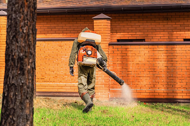 Top rated local Termite Control specialists in White Castle, LA